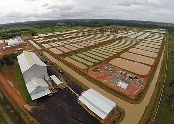 Peixes da Amazônia já está em fase final de implantação no Acre, afirma o governo