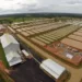 Peixes da Amazônia já está em fase final de implantação no Acre, afirma o governo