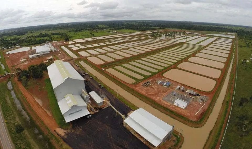 Peixes da Amazônia já está em fase final de implantação no Acre, afirma o governo