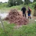 Cheia já causa graves prejuízos à agricultura e Safra age intensamente para apoiar ribeirinhos