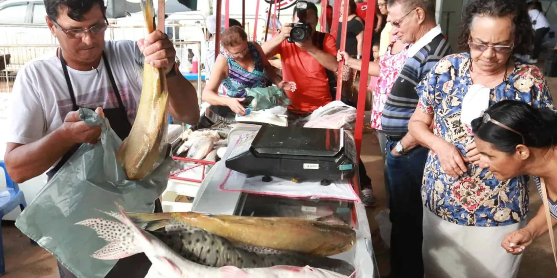 Prefeitura e governo organizam a 6ª Feira do Peixe na Semana Santa