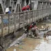 Homens do Deracre se arriscam para retirar balseiros das pontes