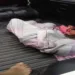 Criança de quatro anos morre afogada no município de Boca do Acre