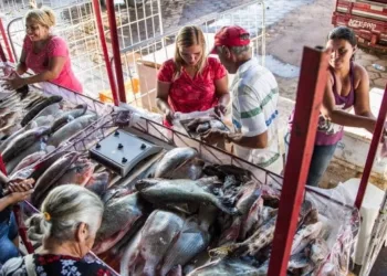 Feira do Peixe inicia neste sábado na Ceasa e nos principais mercados de Rio Branco