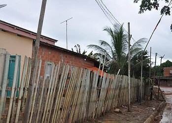 Idoso tenta ajudar vizinha e morre eletrocutado ao cortar bananeira