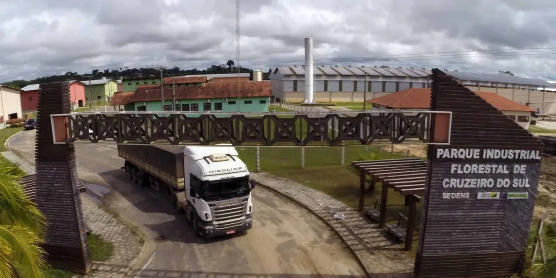 Investimentos do governo estimulam crescimento do setor marceneiro