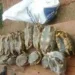 Polícia Militar apreende carne e animais silvestres no município de Porto Walter