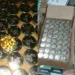 Polícia apreende carregamento com mais de 400 kg de munição no AC