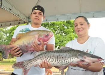 Começa feira do peixe do Quixadá na Arena de Esportes Radicais