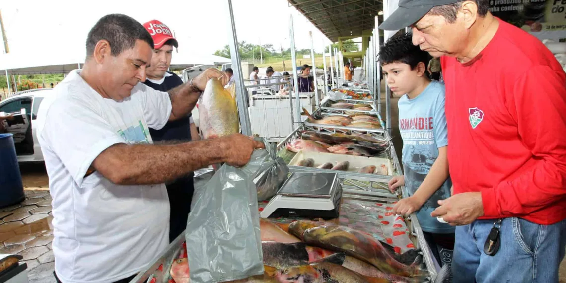 Feira do Peixe na Ceasa reúne mais de 100 produtores familiares