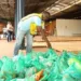 Mutirão voluntário acontece em Rio Branco neste sábado