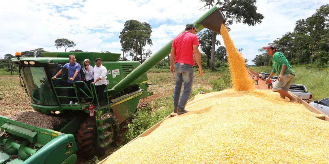 A autossuficiência é resultado de investimentos do governo no setor agroindustrial