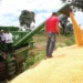 A autossuficiência é resultado de investimentos do governo no setor agroindustrial