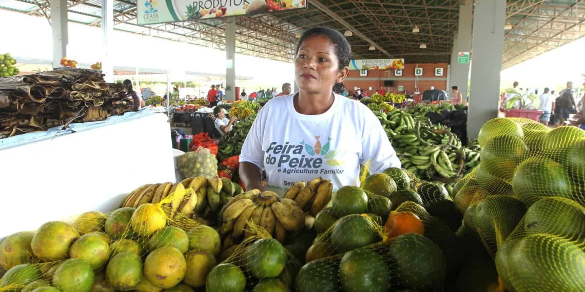 Agricultora Luciene Gomes produz pé de moleque, rapadura, açúcar mascavo e mel de cana. (Foto: Secom)