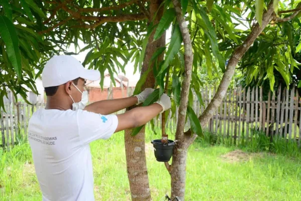 Prefeitura de Rio Branco intensifica ações de combate à dengue nos bairros da Capital