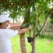 Prefeitura de Rio Branco intensifica ações de combate à dengue nos bairros da Capital