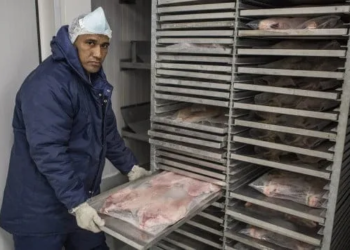 Certificação do Serviço de Inspeção Federal garante exportação dos produtos