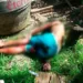 Homem é executado a tiros no bairro Calafate na tarde de domingo