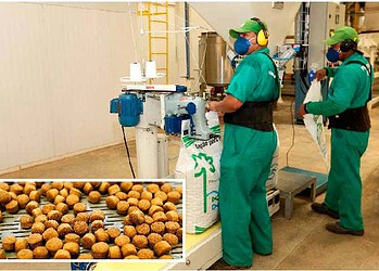 Inicialmente, serão exportadas 10 mil sacas de 25 kg de ração