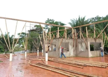 O primeiro produto a ser desenvolvido pela empresa serão os painéis de bambu. (Foto: Cedida)