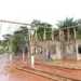 O primeiro produto a ser desenvolvido pela empresa serão os painéis de bambu. (Foto: Cedida)