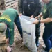 Batalhão Ambiental e Ibama apreendem 80 kg de carne de caça no Bujari
