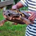 Tartaruga com aparência estranha assusta pescadores no Acre