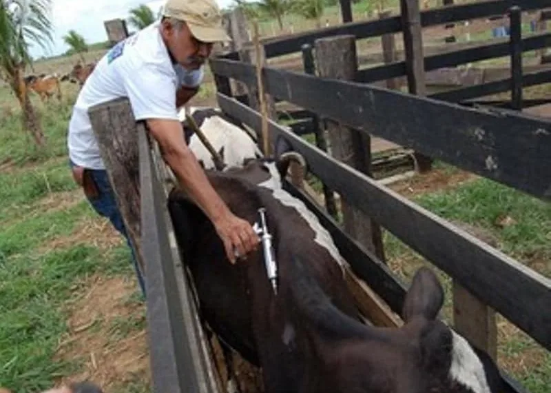 Primeira etapa da campanha começou desde sexta. (Foto: Divulgação)