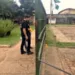 Caminhoneiros quase derrubam portão da Suframa exigindo 30% de funcionamento