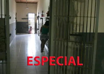 Maconha e cocaína são as drogas mais apreendidas no Estado