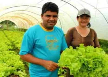 Benefício a produtores será feito nos próximos dois meses. (Foto: Ascom Acre)