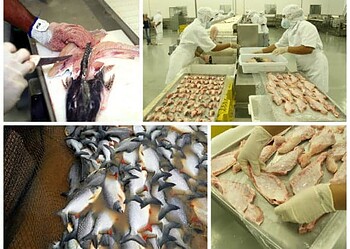 Acre ganha destaque e torna o Estado referência nacional. (Foto: Arquivo Secom Acre)