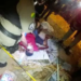 O crime aconteceu no bairro Plácido de Castro