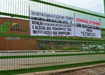 Professores e técnicos reivindicam melhores condições de trabalho e reajuste salarial. (Foto: Divulgação)