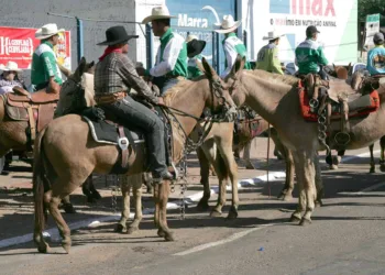 Fotos:Odair Leal/A GAZETA