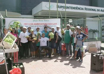 Órgão já assentou mais de 32 mil famílias na reforma agrária. (Foto: Odair Leal/ A GAZETA)