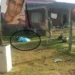 Polícia de Sena apreende adolescente acusado de matar filho de sargento