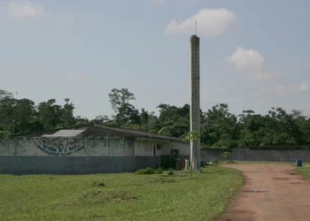 Parceria entre Iapen e Seaprof estimula produção agrícola dentro dos presídios