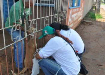 Campanha de vacinação estima atingir mais de 40 mil cães e gatos em Rio Branco