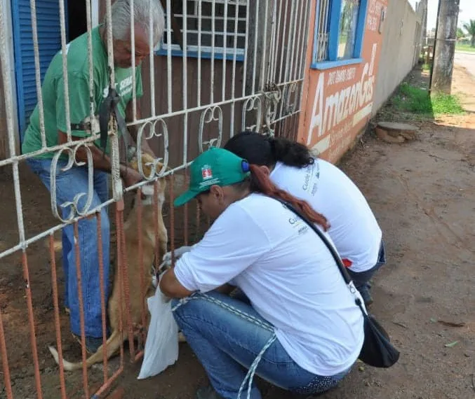 Campanha de vacinação estima atingir mais de 40 mil cães e gatos em Rio Branco