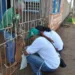 Campanha de vacinação estima atingir mais de 40 mil cães e gatos em Rio Branco