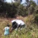 Carro capotou, mas mulheres não se feriram gravemente