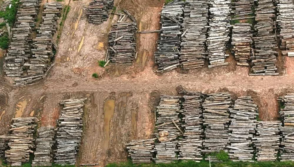 Acre registra aumento na taxa de desmatamento na região