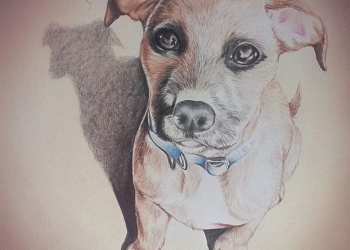 Trabalhos como o dessa imagem estão em exposição. (Foto:Reprodução)