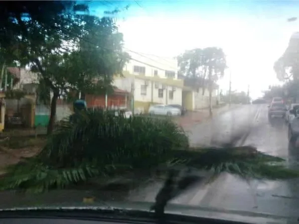 “Durante tempestades, o ideal é procurar abrigo”, alerta bombeiro