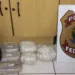 Polícia Federal apreende 8 Kg de cocaína em Cruzeiro do Sul