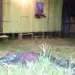 Mulher de 28 anos é morta com cinco facadas no bairro Jorge Lavocat