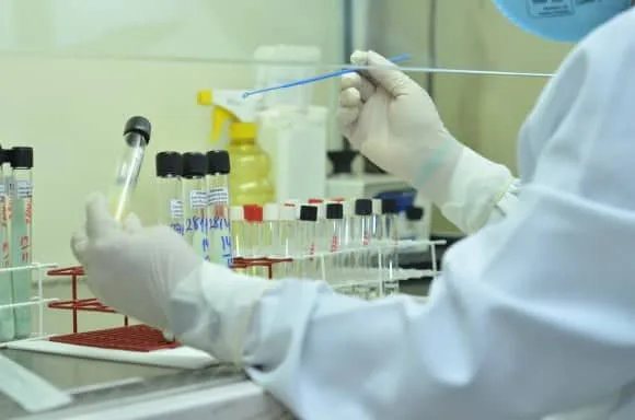 Casos suspeitos de chikungunya registrados em 2015 foram descartados por exames laboratoriais. (Foto:  Junior Aguiar / Sesacre)