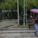 Céu nublado e chuva em todo Estado para essa sexta-feira, segundo Sipam