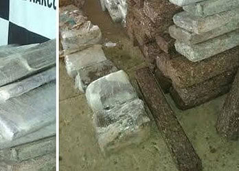 Polícia de RO apreende mais de 200 kg de maconha que seria vendida no Acre‏